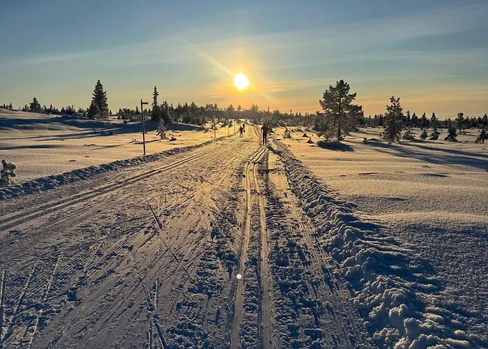 Family Budor - 60 Min From Osl - Alpine Cross Country Skiing