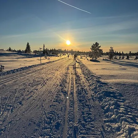 Family Budor - 60 Min From Osl - Alpine Cross Country Skiing